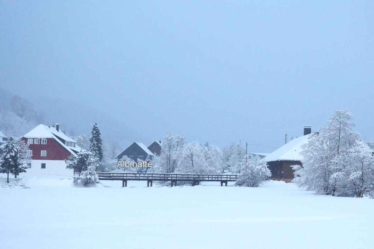 C4 Albmatte-Fewo Sauna, Hallenbad Aussenbecken Massagen Nebenan Menzenschwand Exterior photo