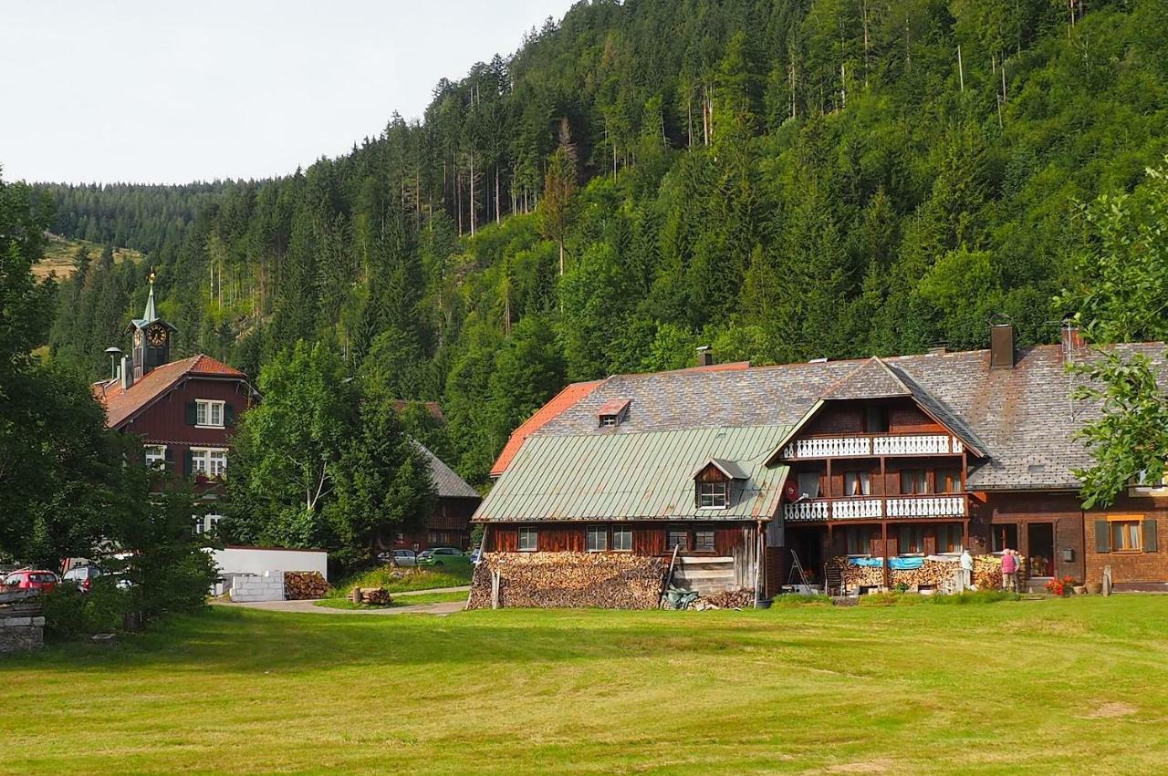 C4 Albmatte-Fewo Sauna, Hallenbad Aussenbecken Massagen Nebenan Menzenschwand Exterior photo