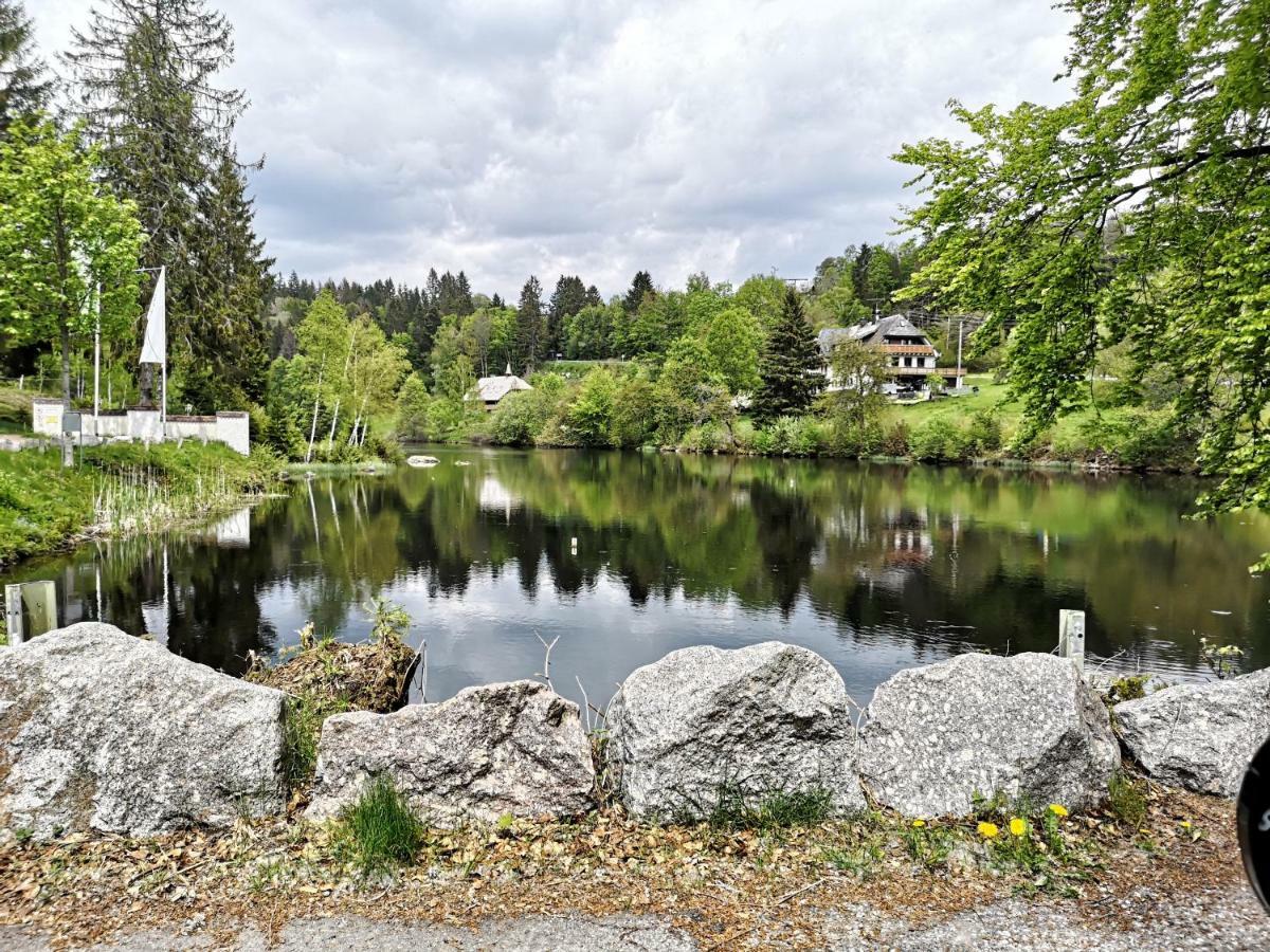 C4 Albmatte-Fewo Sauna, Hallenbad Aussenbecken Massagen Nebenan Menzenschwand Exterior photo