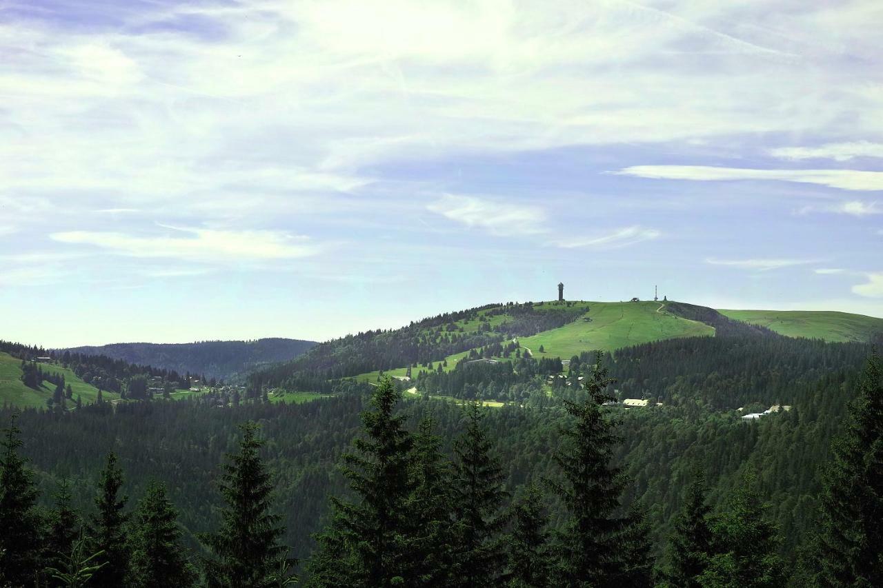 C4 Albmatte-Fewo Sauna, Hallenbad Aussenbecken Massagen Nebenan Menzenschwand Exterior photo