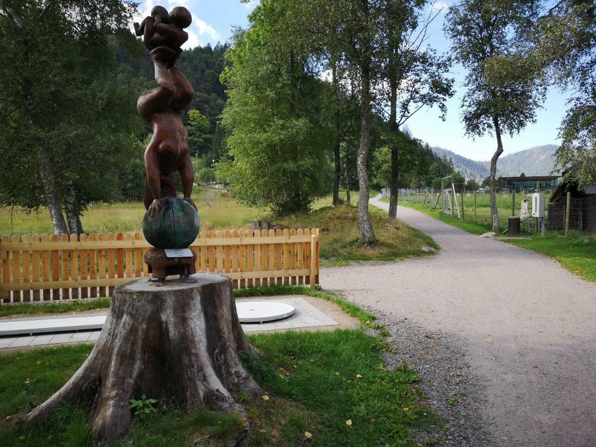 C4 Albmatte-Fewo Sauna, Hallenbad Aussenbecken Massagen Nebenan Menzenschwand Exterior photo